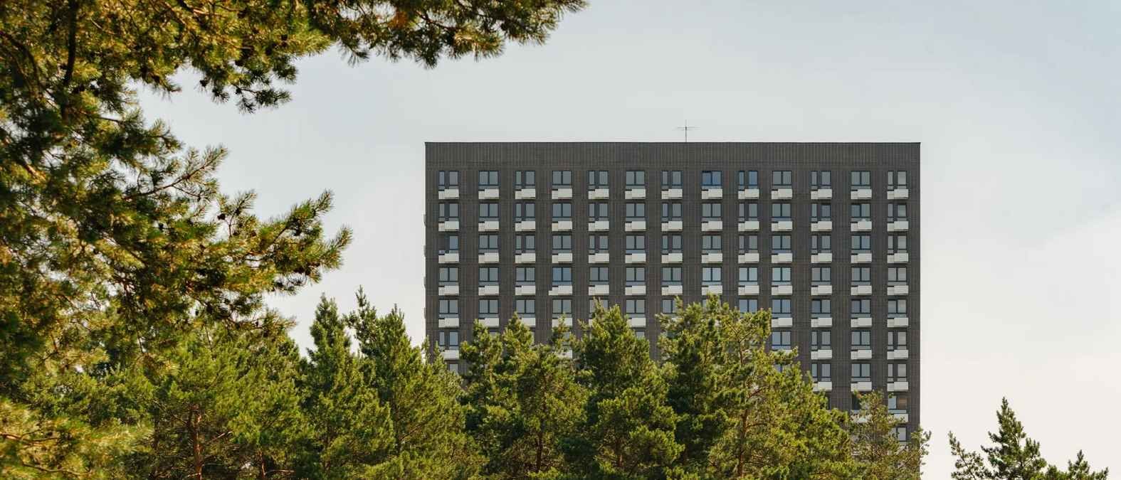 Кузьминский лес — фото 1